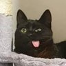 Eu tô bem?'s profile picture
