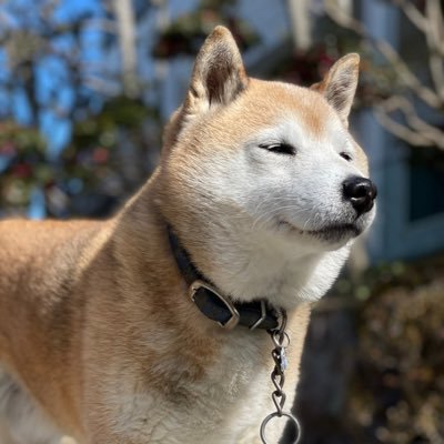 三代目レゾ's profile picture