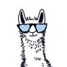 недостаточно женщина's profile picture