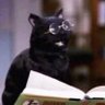 Фото профиля Salem de Schrödinger