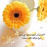 Фото профиля Yasmeen.86