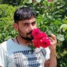 Фото профиля n. dogan