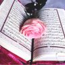 #قرآني نبض شرياني's profile picture