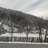 Фото профиля Udjin_RH