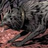 Frekiwolf's profile picture