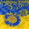 Фото профиля RiverSong