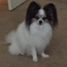 M Dease's profile picture