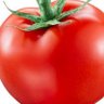 Tomalio The Tomato's profile picture