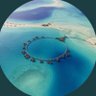 Profilbild von -