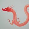 reddragon 的头像