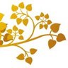 nitichai's profile picture