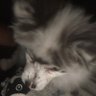 Profilbild von madino