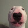 Patrick Brennan's profile picture