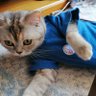 Merve profil fotoğrafı