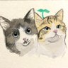 Profilbild von はちみ