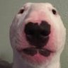 Empty_Dogo 的头像
