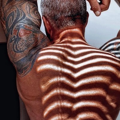 Wise Taste's profile picture