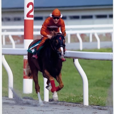 椎本 英男(Hideo Shiimoto)'s profile picture