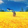 polly dymock 🇺🇦🌻🌻 slava ukraini 🇮🇱 🟧🧡🎗 profil fotoğrafı