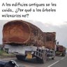 Vla𝚍...oonh... profil fotoğrafı
