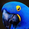 ADEKUNLE247's profile picture