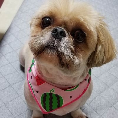 siiperiima's profile picture
