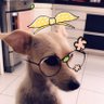 Lila 的头像