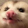 Honey_bee's profile picture