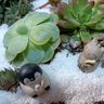 にゃんこ先生 profil fotoğrafı