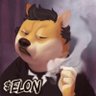 Del 🇵🇷 🗽#Horror #SciFi #PolyDoge's profile picture