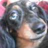 fuku's profile picture