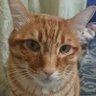 Profilbild von 伸介