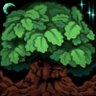 Oak's profile picture