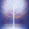Profilbild von bodhisatva de la tierra 🌎💜🙏🙏