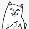Moka's profile picture