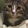 愛　飢男(あいうえお)'s profile picture