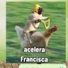 Фото профиля Acelera Francisca