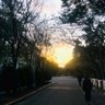 夏陽冬雪 profil fotoğrafı