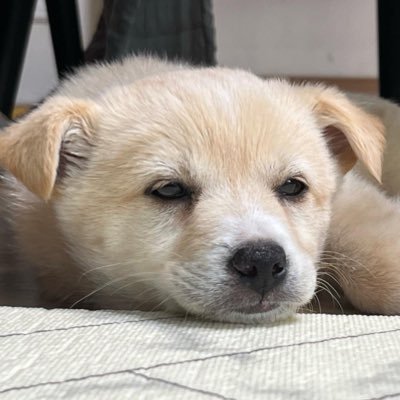 감자🥔's profile picture