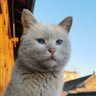 Bryan profil fotoğrafı