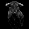 La mirada del hombre invisible's profile picture