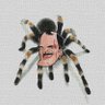 Profilbild von QuentinTARANTULINO