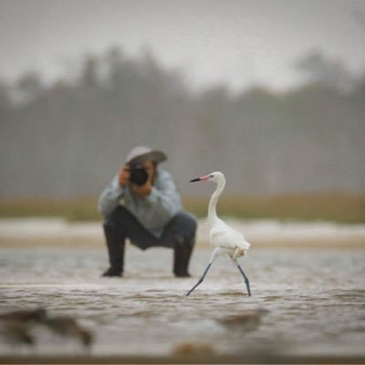 Daniel Riddle's profile picture