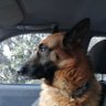 Tuiituii profil fotoğrafı