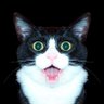 Profilbild von Cat Terpillar