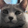 Фото профиля Smokey