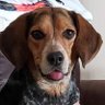 Bailey2021's profile picture