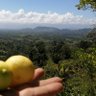 Фото профиля Edgardo Aguilar