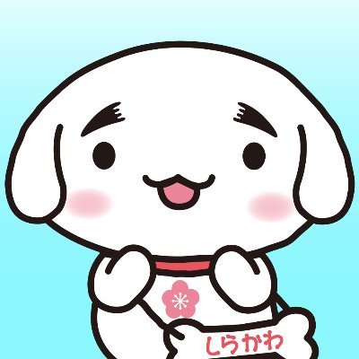 しらかわん's profile picture