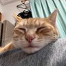 ひろりん@勉強垢?'s profile picture